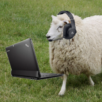 Preview image for Sheep game